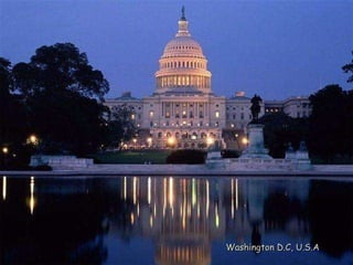 Washington D.C, U.S.A 