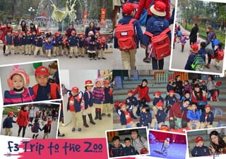 F3 Trip to the Zoo BVIS HANOI
VUE POINT | TERM 2 3130
 