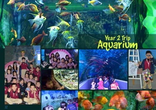 BVIS HANOI
VUE POINT | TERM 2 3332
 