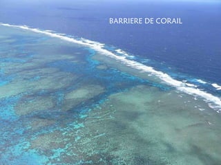 BARRIERE DE CORAIL 