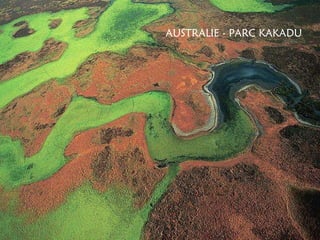 AUSTRALIE - PARC KAKADU 