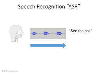 © 2017 Versay Solutions
Speech Recognition “ASR”
“See the cat.”
 