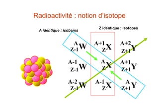Radioactivité : notion d’isotope
ZX
A
ZX
A+1
A-1
ZX
Z-1WA
Z+1Y
A+1
Z-1W
A-1
Z+1Y
A+2
Z-1W
A-2
Z+1Y
A
Z identique : isotopes
A identique : isobares
 