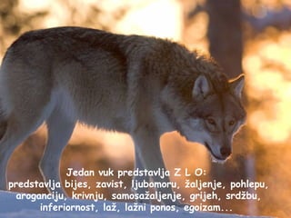 Jedan vuk predstavlja Z L O:
predstavlja bijes, zavist, ljubomoru, žaljenje, pohlepu,
  aroganciju, krivnju, samosažaljenje, grijeh, srdžbu,
       inferiornost, laž, lažni ponos, egoizam...
 