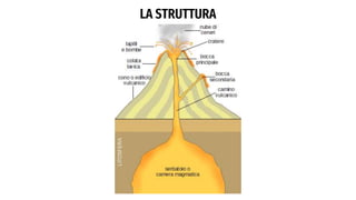 LA STRUTTURA
 