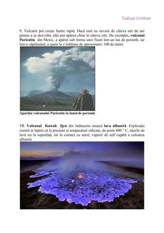 9. Vulcanii pot crește foarte rapid. Dacă unii au nevoie de câteva mii de ani
pentru a se dezvolta, alții pot apărea chiar în câteva zile. De exemplu, vulcanul
Paricutin din Mexic, a apărut sub forma unei fisuri într-un lan de porumb, iar
într-o săptămână, a ajuns la o înălțime de aproximativ 100 de metri.
Apariția vulcanului Paricutin in lanul de porumb
10. Vulcanul Kawah Ijen din Indonezia aruncă lava albastră. Explicația
constă in faptul că la presiuni și temperaturi ridicate, de peste 600 ° C, râurile de
lavă ies la suprafață, iar în contact cu aerul, vaporii de sulf capătă o culoarea
albastră.
 