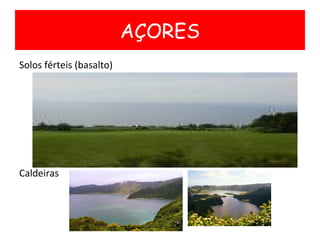 <ul><li>Solos férteis (basalto) </li></ul><ul><li>Caldeiras </li></ul>AÇORES 