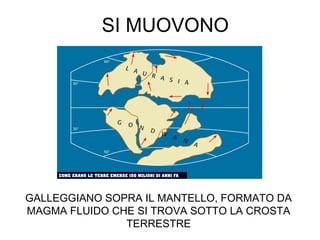 SI MUOVONO
GALLEGGIANO SOPRA IL MANTELLO, FORMATO DA
MAGMA FLUIDO CHE SI TROVA SOTTO LA CROSTA
TERRESTRE
 
