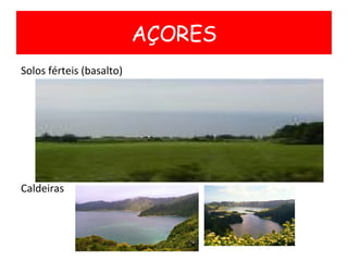 Solos férteis (basalto) Caldeiras AÇORES 