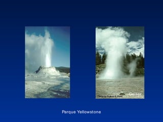 Parque Yellowstone Geiser 