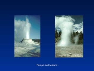 Parque Yellowstone Geiser 
