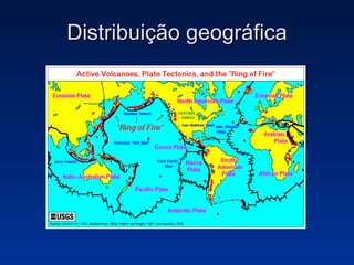 Distribuição geográfica 