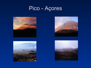 Pico - Açores 