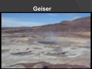 Geiser
 