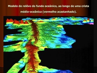 Modelo do relêvo do fundo oceânico, ao longo de uma crista médio-oceânica (vermelho acastanhado).