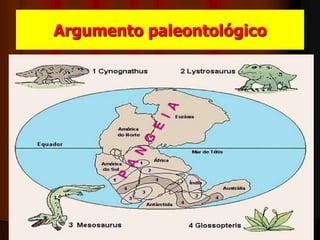 Argumento paleontológico