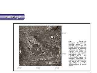 MorfologiaMorfologiaMorfologiaMorfologia
 