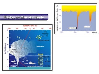Efeitos no Meio AmbienteEfeitos no Meio AmbienteEfeitos no Meio AmbienteEfeitos no Meio Ambiente
 