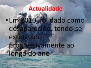 Actualidade
•Em 2010, foi dado como
 desaparecido, tendo-se
         Solo le pido a Dios
 extinguido
 progressivamente ao
 longo do ano
 