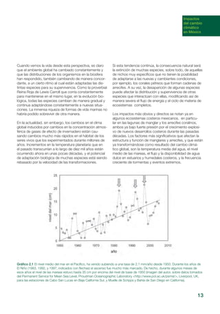 13
Cuando vemos la vida desde esta perspectiva, es claro
que el ambiente global ha cambiado constantemente y
que las distribuciones de los organismos en la biosfera
han respondido, también cambiando de manera concor-
dante, a un cierto ritmo al cual están adaptadas las dis-
tintas especies para su supervivencia. Como la proverbial
Reina Roja de Lewis Carroll que corría constantemente
para mantenerse en el mismo lugar, en la evolución bio-
lógica, todas las especies cambian de manera gradual y
continua adaptándose constantemente a nuevas situa-
ciones. La inmensa riqueza de formas de vida marinas no
habría podido sobrevivir de otra manera.
En la actualidad, sin embargo, los cambios en el clima
global inducidos por cambios en la concentración atmos-
férica de gases de efecto de invernadero están cau-
sando cambios mucho más rápidos en el hábitat de los
seres vivos que los experimentados durante millones de
años. Incrementos en la temperatura planetaria que en
el pasado transcurrían a lo largo de diez mil años están
ocurriendo ahora en unas pocas décadas, y el potencial
de adaptación biológica de muchas especies está siendo
rebasado por la velocidad de las transformaciones.
Si esta tendencia continúa, la consecuencia natural será
la extinción de muchas especies, sobre todo, de aquellas
de nichos muy específicos que no tienen la posibilidad
de adaptarse a las nuevas y cambiantes condiciones,
por ejemplo, los corales pétreos que forman cadenas de
arrecifes. A su vez, la desaparición de algunas especies
puede afectar la distribución y supervivencia de otras
especies que interactúan con ellas, modificando así de
manera severa el flujo de energía y el ciclo de materia de
ecosistemas completos.
Los impactos más obvios y directos se notan ya en
algunos ecosistemas costeros mexicanos, en particu-
lar en las lagunas de manglar y los arrecifes coralinos,
ambos ya bajo fuerte presión por el crecimiento explosi-
vo de nuevos desarrollos costeros durante las pasadas
décadas. Los factores más significativos que afectan la
estructura y función de manglares y arrecifes, y que están
ya transformándose como resultado del cambio climá-
tico global, son la temperatura media del agua, el nivel
medio de las mareas, el flujo y la disponibilidad de agua
dulce en estuarios y humedales costeros, y la frecuencia
creciente de tormentas y eventos extremos.
Gráfico 2.1 El nivel medio del mar en el Pacífico, ha venido subiendo a una tasa de 2.1 mm/año desde 1950. Durante los años de
El Niño (1983, 1992, y 1997, indicados con flechas) el ascenso fue mucho más marcado. De hecho, durante algunos meses de
esos años el nivel de las mareas estuvo hasta 35 cm por encima del nivel de base de 1950 (imagen del autor, sobre datos tomados
del Permanent Service for Mean Sea Level, Proudman Oceanographic Laboratory <http://www.pol.ac.uk/psmsl/>, Liverpool, UK,
para las estaciones de Cabo San Lucas en Baja California Sur, y Muelle de Scripps y Bahía de San Diego en California).
Impactos
del cambio
climático
en México
 