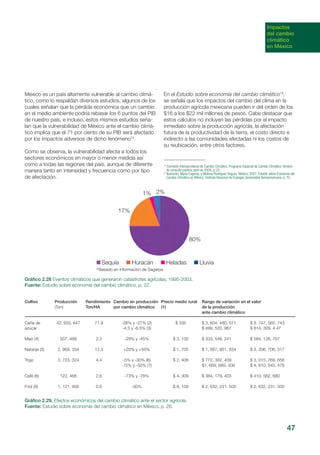 Impactos
del cambio
climático
en México
México es un país altamente vulnerable al cambio climá-
tico, como lo respaldan diversos estudios, algunos de los
cuales señalan que la pérdida económica que un cambio
en el medio ambiente podría rebasar los 6 puntos del PIB
de nuestro país, e incluso, estos mismos estudios seña-
lan que la vulnerabilidad de México ante el cambio climá-
tico implica que el 71 por ciento de su PIB será afectado
por los impactos adversos de dicho fenómeno14
.
Como se observa, la vulnerabilidad afecta a todos los
sectores económicos en mayor o menor medida así
como a todas las regiones del país, aunque de diferente
manera tanto en intensidad y frecuencia como por tipo
de afectación.
Gráfico 2.28 Eventos climáticos que generaron catástrofes agrícolas, 1995-2003.
Fuente: Estudio sobre economía del cambio climático, p. 22.
En el Estudio sobre economía del cambio climático15
,
se señala que los impactos del cambio del clima en la
producción agrícola mexicana pueden ir del orden de los
$16 a los $22 mil millones de pesos. Cabe destacar que
estos cálculos no incluyen las pérdidas por el impacto
inmediato sobre la producción agrícola, la afectación
futura de la productividad de la tierra, el costo directo e
indirecto a las comunidades afectadas ni los costos de
su reubicación, entre otros factores.
Gráfico 2.29. Efectos económicos del cambio climático ante el sector agrícola.
Fuente: Estudio sobre economía del cambio climático en México, p. 26.
14
Comisión Intersecretarial de Cambio Climático. Programa Especial de Cambio Climático. Versión
de consulta pública, abril de 2009, p. 22.
15
Ibarrarán, María Eugenia, y Melissa Rodríguez Segura. México, 2007, Estudio sobre Economía del
Cambio Climático en México. Instituto Nacional de Ecología-Universidad Iberoamericana, p. 70.
47
80%
17%
1% 2%
Sequía Huracán Heladas Lluvia
*Basado en información de Sagarpa
Cultivo
Caña de
azúcar
Maíz (4)
Naranja (5)
Trigo
Café (8)
Friol (9)
Producción
(Ton)
42, 650, 647
507, 489
2, 969, 334
3, 723, 324
122, 468
1, 121, 956
Rendimiento
Ton/HA
71.9
2.3
12.3
4.4
2.6
0.6
Cambio en producción
por cambio climático
-26% y -27% (2)
-4.3 y -6.5% (3)
-29% y -45%
+20% y +50%
-5% y -30% (6)
-15% y -50% (7)
-73% y -78%
-30%
Precio medio rural
(1)
$ 335
$ 3, 100
$ 1, 705
$ 2, 406
$ 4, 309
$ 8, 109
Rango de variación en el valor
de la producción
ante cambio climático
$ 3, 604, 480, 071 $ 3, 747, 565, 743
$ 499, 520, 967 $ 814, 309, 4 47
$ 333, 546, 241 $ 584, 126, 767
$ 1, 687, 951, 834 $ 3, 206, 706, 317
$ 772, 302, 409 $ 3, 015, 769, 656
$1, 669, 689, 308 $ 4, 810, 543, 478
$ 384, 179, 403 $ 410, 562, 680
$ 2, 632, 231, 500 $ 2, 632, 231, 500
 