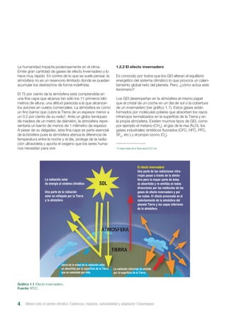 La humanidad impacta poderosamente en el clima.
Emite gran cantidad de gases de efecto invernadero y lo
hace muy rápido. En contra de lo que se suele pensar, la
atmósfera no es un reservorio ilimitado donde se puedan
acumular los deshechos de forma indefinida.
El 75 por ciento de la atmósfera está comprendida en
una fina capa que alcanza tan sólo los 11 primeros kiló-
metros de altura, una altitud parecida a la que alcanzan
los aviones en vuelos comerciales. La atmósfera es como
un fino barniz que cubre la Tierra de un espesor menor a
un 0.2 por ciento de su radio3
. Ante un globo terráqueo
de madera de un metro de diámetro, la atmósfera repre-
sentaría un barniz de menos de 1 milímetro de espesor.
A pesar de su delgadez, esta fina capa es parte esencial
de la biósfera pues la atmósfera atenúa la diferencia de
temperatura entre la noche y el día, protege de la radia-
ción ultravioleta y aporta el oxígeno que los seres huma-
nos necesitan para vivir.
1.2.2 El efecto invernadero
Es conocido por todos que los GEI alteran el equilibrio
energético del sistema climático lo que provoca un calen-
tamiento global neto del planeta. Pero, ¿cómo actúa este
fenómeno?
Los GEI desempeñan en la atmósfera el mismo papel
que el cristal de un coche en un día de sol o la cobertura
de un invernadero (ver gráfico 1.1). Estos gases están
formados por moléculas polares que absorben los rayos
infrarrojos termalizados en la superficie de la Tierra y en
la propia atmósfera. Existen muchos tipos de GEI, como
por ejemplo el metano (CH4
), el gas de la risa (N2
O), los
gases industriales sintéticos fluorados (CFC, HFC, PFC,
SF6
, etc.) y el propio ozono (O3
).
Gráfico 1.1 Efecto invernadero.
Fuente: IPCC.
México ante el cambio climático. Evidencias, impactos, vulnerabilidad y adaptación I Greenpeace4
3
El radio medio de la Tierra tiene 6.371 km.
La radiación solar
da energía al sistema climático
Una parte de la radiación
solar es reflejada por la Tierra
y la atmósfera
El efecto invernadero
Una parte de las radiaciones infra-
rrojas pasan a través de la atmós-
fera pero la mayor parte de éstas
es absorbida y re-emitida en todas
direcciones por las moléculas de los
gases de efecto invernadero y por
las nubes. El efecto provocado es el
calentamiento de la atmósfera del
planeta Tierra y las capas inferiores
de la atmósfera.
Cerca de la mitad de la radiación solar
es absorbida por la superficie de la Tierra
que es calentada por ésta.
La radiación infrarroja es emitida
por la superficie de la Tierra.
SOL
 