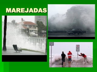 MAREJADAS 