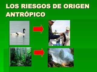 LOS RIESGOS DE ORIGEN ANTRÓPICO 