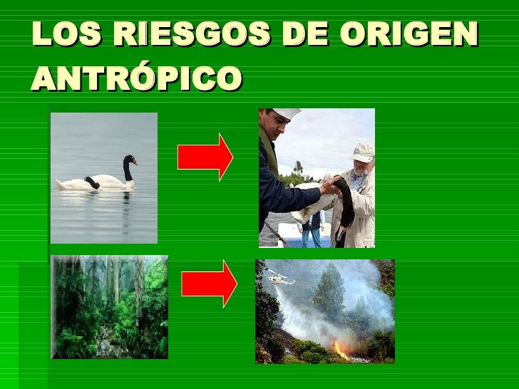 Resultado de imagen para amenazas de origen antropicos
