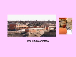 COLUMNA CORTA
 