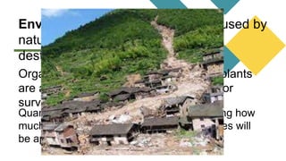 Environmental vulnerability is caused by
natural resources depletion and
destruction.
Organisms like humans, animals, and plants
are all dependent on the environment for
survival.
Quantifying vulnerability is used in estimating how
much mitigation and preparedness measures will
be applied.
 
