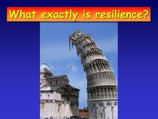 What exactly is resilience?
 