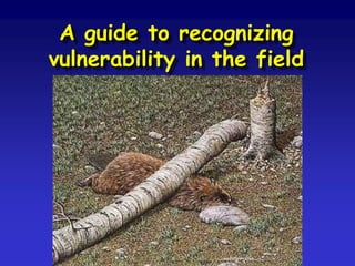 What is sustainable vulnerability reduction?
• it is centred upon the local level
(but is harmonised from above)
• through consultation it has the support
and involvement of the population
• plans tackle all the phases of the
disaster cycle - in an integrative way
• it is a fundamental, every-day service
for the population and is taken seriously.
 