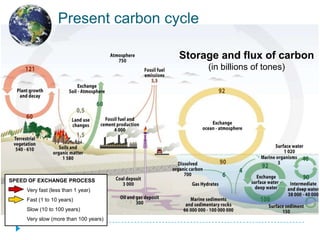 Present carbon cycle

                                       Storage and flux of carbon
                                            (in billions of tones)




SPEED OF EXCHANGE PROCESS
     Very fast (less than 1 year)
     Fast (1 to 10 years)
     Slow (10 to 100 years)
     Very slow (more than 100 years)
 