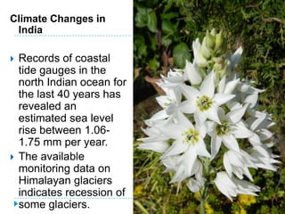 Climate Changes in
 India

   Records of coastal
    tide gauges in the
    north Indian ocean for
    the last 40 years has
    revealed an
    estimated sea level
    rise between 1.06-
    1.75 mm per year.
   The available
    monitoring data on
    Himalayan glaciers
    indicates recession of
    some glaciers.           27
 