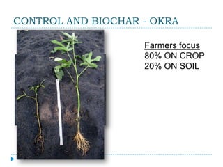 CONTROL AND BIOCHAR - OKRA

                    Farmers focus
                    80% ON CROP
                    20% ON SOIL
 