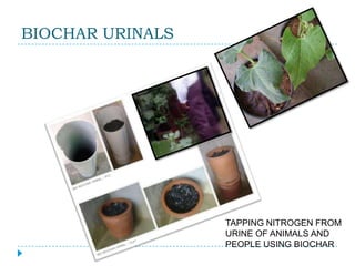 BIOCHAR URINALS




                  TAPPING NITROGEN FROM
                  URINE OF ANIMALS AND
                  PEOPLE USING BIOCHAR
 
