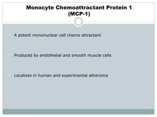 Monocyte Chemoattractant Protein 1
(MCP-1)
 A potent mononuclear cell chemo attractant
 Produced by endothelial and smooth muscle cells
 Localizes in human and experimental atheroma
 