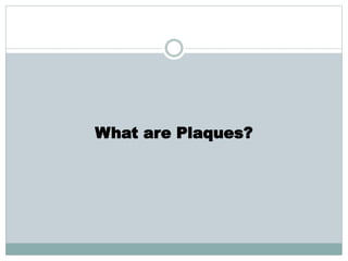 What are Plaques?
 