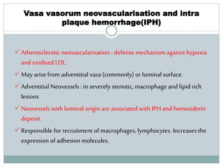 Vasa vasorum neovascularisation and intra
plaque hemorrhage(IPH)
 Atherosclerotic neovascularisation -defense mechanism against hypoxia
and oxidised LDL.
 May arise from adventitial vasa(commonly) or luminal surface.
 Adventitial Neovessels : in severely stenotic, macrophage and lipid rich
lesions
 Neovessels with luminal origin are associated with IPH and hemosiderin
deposit.
 Responsible for recruitment of macrophages, lymphocytes. Increases the
expression of adhesion molecules.
 
