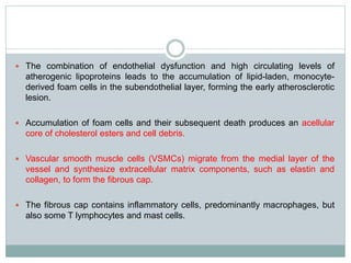  The combination of endothelial dysfunction and high circulating levels of
atherogenic lipoproteins leads to the accumulation of lipid-laden, monocyte-
derived foam cells in the subendothelial layer, forming the early atherosclerotic
lesion.
 Accumulation of foam cells and their subsequent death produces an acellular
core of cholesterol esters and cell debris.
 Vascular smooth muscle cells (VSMCs) migrate from the medial layer of the
vessel and synthesize extracellular matrix components, such as elastin and
collagen, to form the fibrous cap.
 The fibrous cap contains inflammatory cells, predominantly macrophages, but
also some T lymphocytes and mast cells.
 