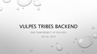 VULPES TRIBES BACKEND
OUR TEAM PROJECT AT GFA/HÚLI
08. 02. 2019
 
