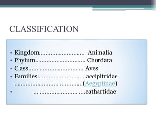 CLASSIFICATION
• Kingdom………………………. Animalia
• Phylum…………………………. Chordata
• Class……………………………. Aves
• Families…………………………acci...