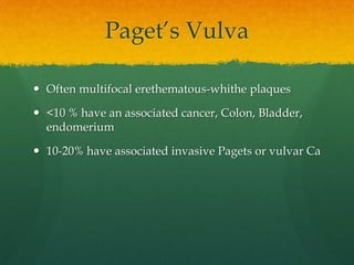 Paget’s Vulva
 Often multifocal erethematous-whithe plaques
 <10 % have an associated cancer, Colon, Bladder,
endomerium
 10-20% have associated invasive Pagets or vulvar Ca
 