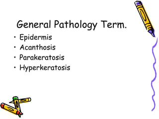 General Pathology Term.
•  Epidermis
•  Acanthosis
•  Parakeratosis
•  Hyperkeratosis
 