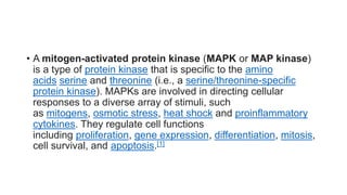 • A mitogen-activated protein kinase (MAPK or MAP kinase)
is a type of protein kinase that is specific to the amino
acids serine and threonine (i.e., a serine/threonine-specific
protein kinase). MAPKs are involved in directing cellular
responses to a diverse array of stimuli, such
as mitogens, osmotic stress, heat shock and proinflammatory
cytokines. They regulate cell functions
including proliferation, gene expression, differentiation, mitosis,
cell survival, and apoptosis.[1]
 