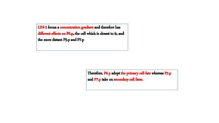 vulva formation in c.elegans.pptx