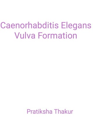 Vulva Formation in Caenorhabditis Elegans 