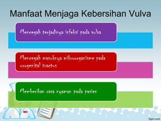Manfaat Menjaga Kebersihan Vulva
 