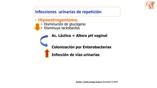 • Hipoestrogenismo.
• Disminución de glucógeno
• Disminuye lactobacilos
Ac. Láctico = Altera pH vaginal
Colonización por Enterobacterias
Infección de vías urinarias
Infecciones urinarias de repetición
Ariada L. Smith,Urology Surgery. December 8, 2010
 